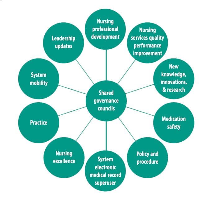 Concentric circle diagram comparing system-level and entity-level nursing professional governance bylaws structure, from executive boards and cabinets down to unit councils, patients, and families